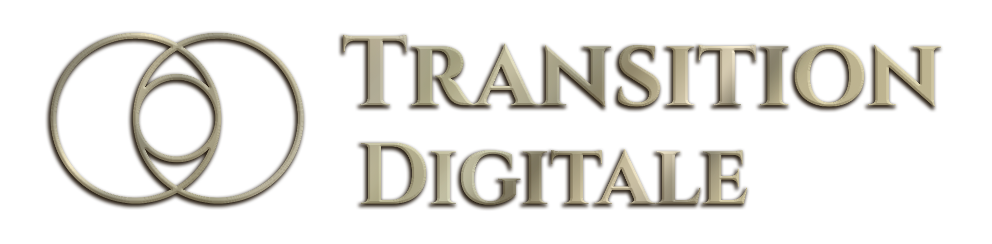 Logo Transition Digitale